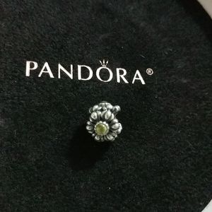 Pandora Charm